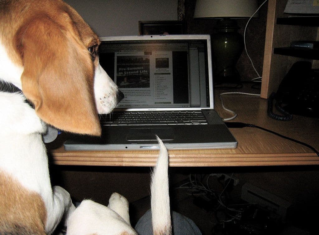 How to Get Your Website Online: A Step-by-Step Guide for Beginners